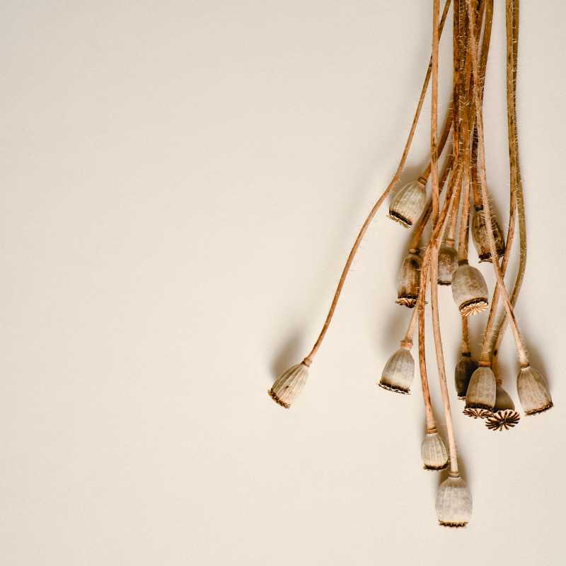 5 Albums I Think You Should Listen&nbsp;To