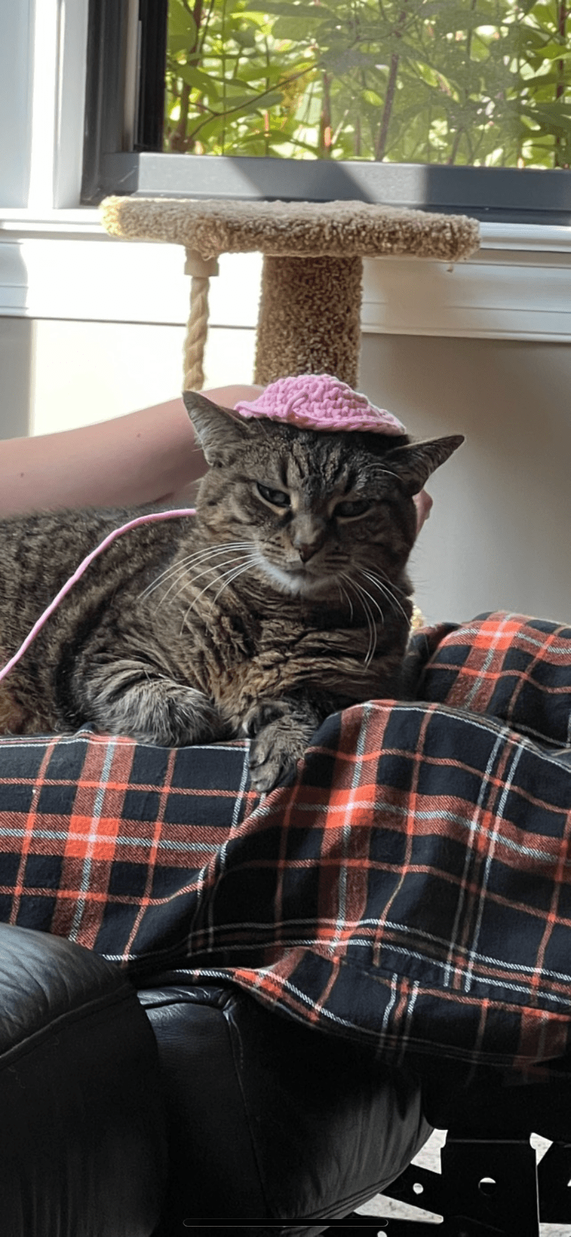 Sunday Reset for&nbsp;Success