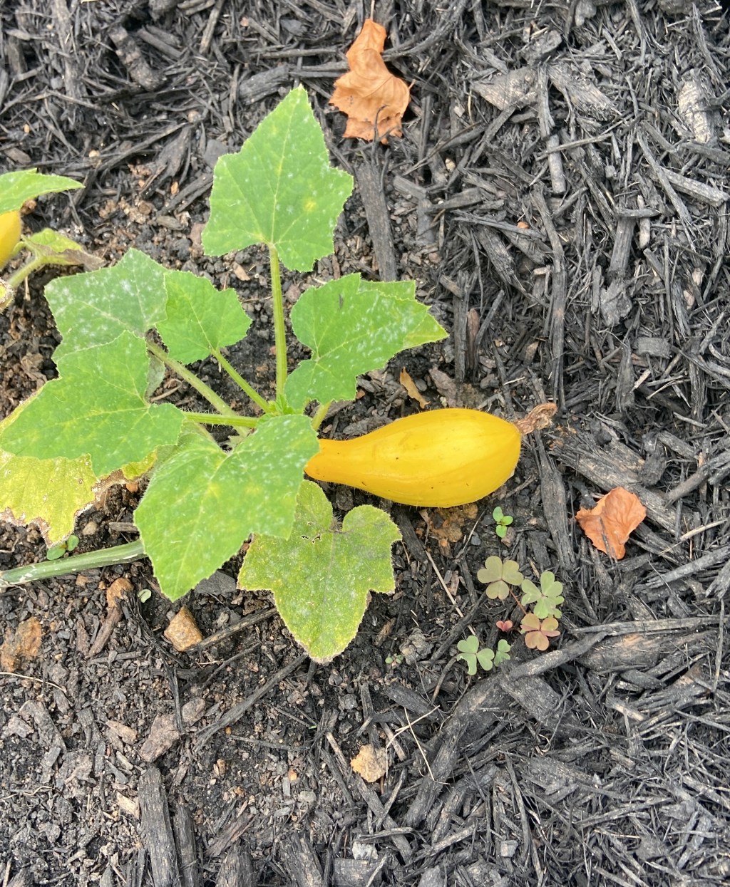 Spend a Screen Free Evening with&nbsp;Me